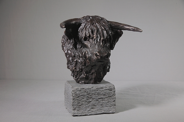 Bull