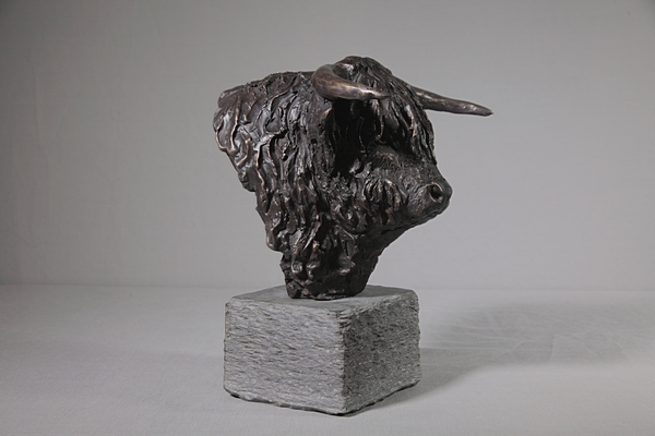 Bull