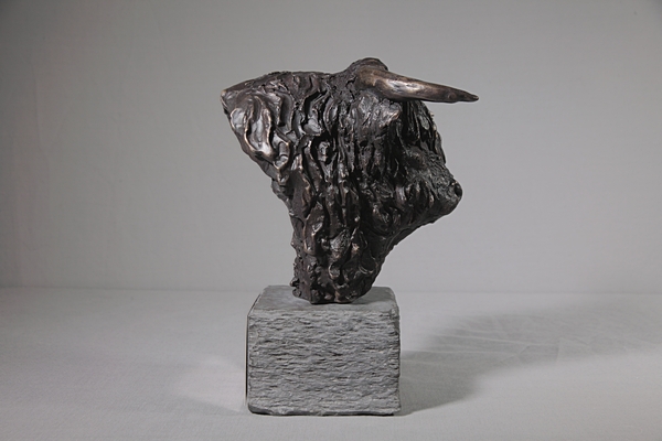 Bull