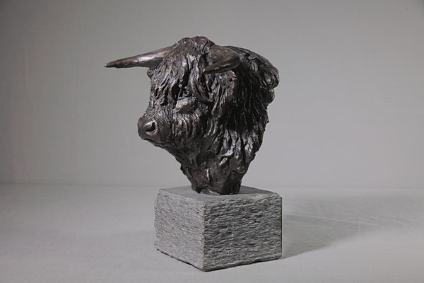 Bull