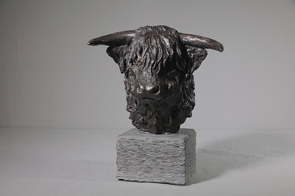 Bull