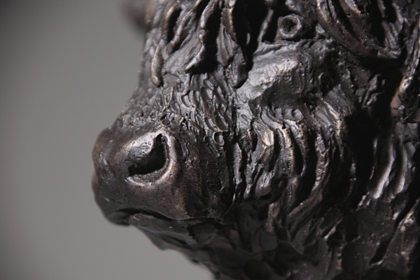 Bull