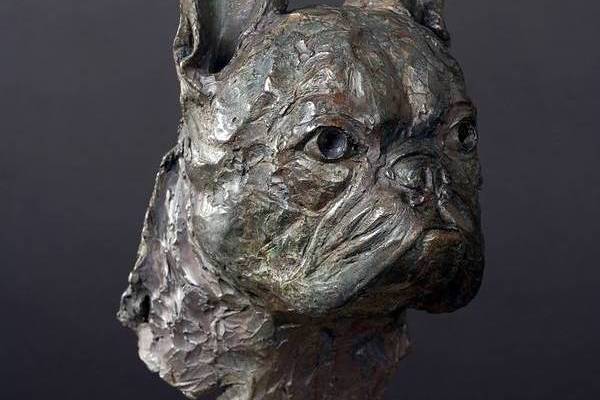 Chica - French Bulldog