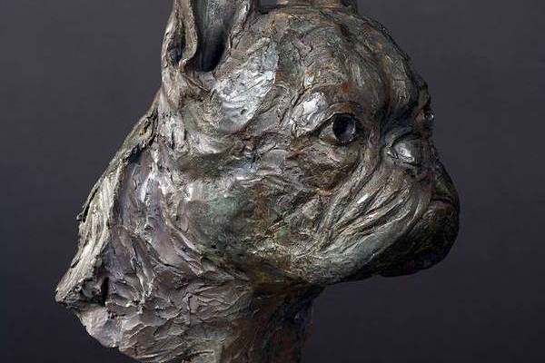 Chica - French Bulldog