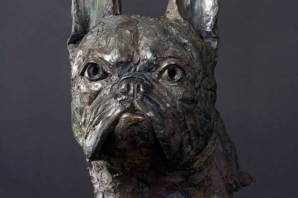 Chica - French Bulldog