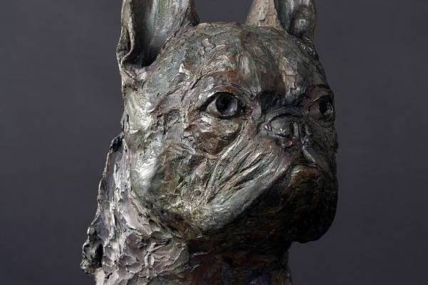 Chica - French Bulldog
