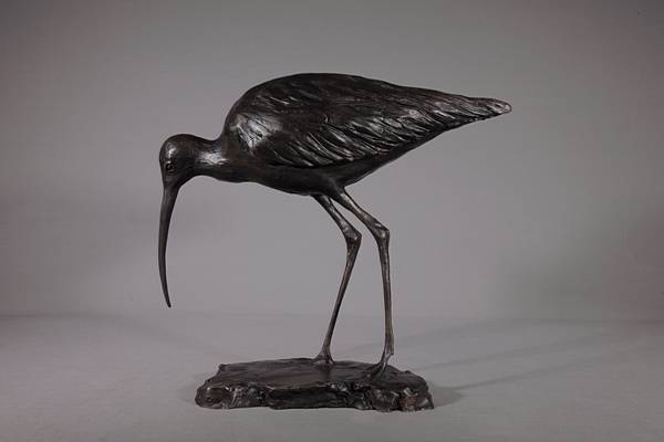 Pair of Curlews