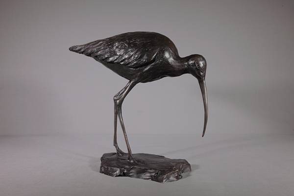 Pair of Curlews