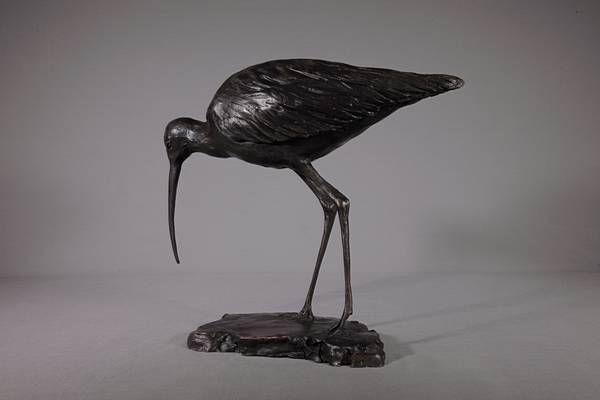 Curlew