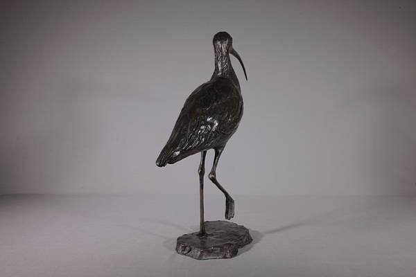 Curlew