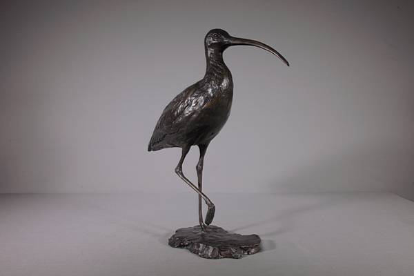 Curlew