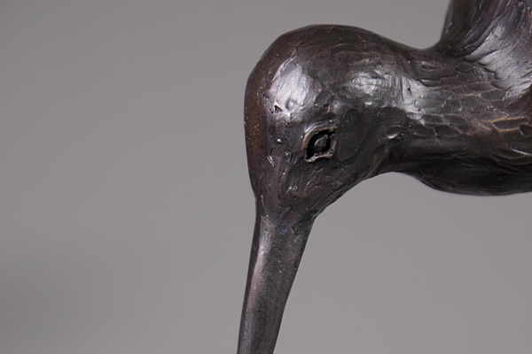 Curlew
