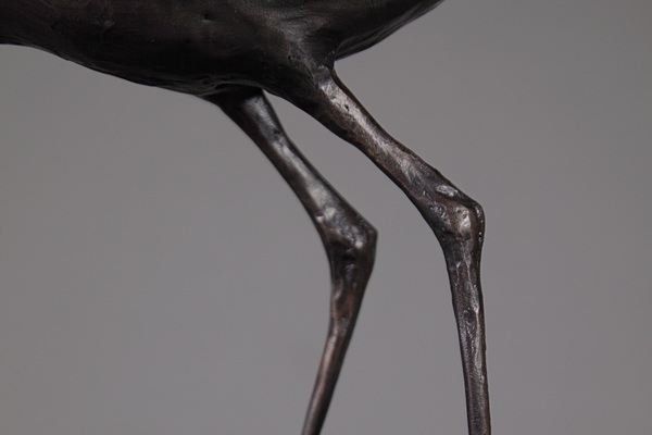 Curlew