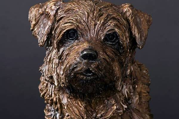 Gerti - Norfolk Terrier