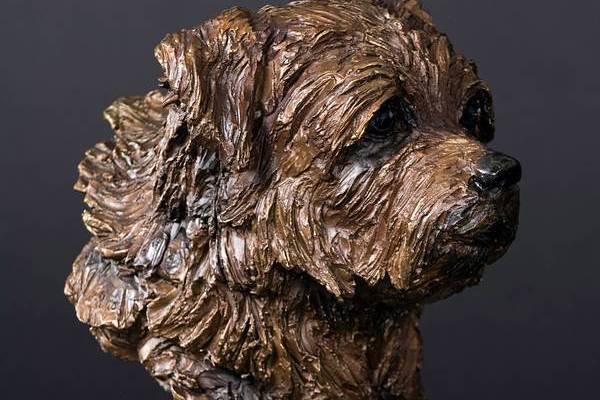 Gerti - Norfolk Terrier