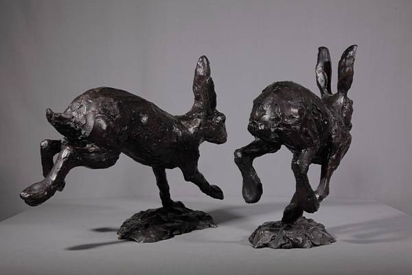 Hare