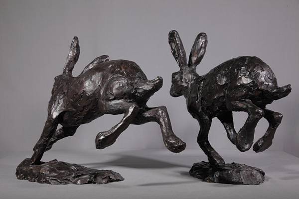 Hare