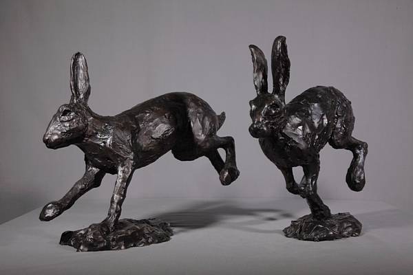 Hare
