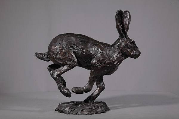 Hare