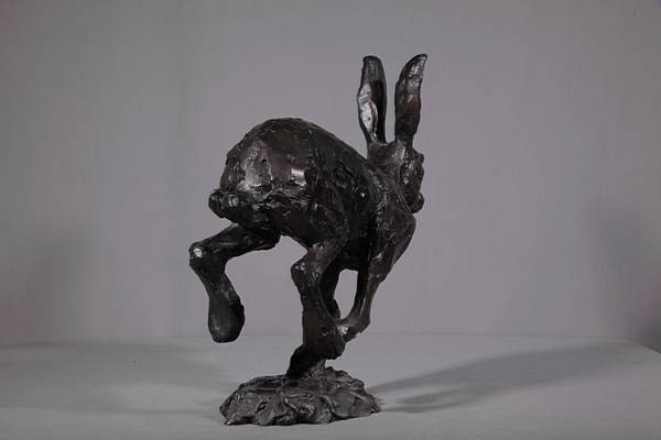 Hare
