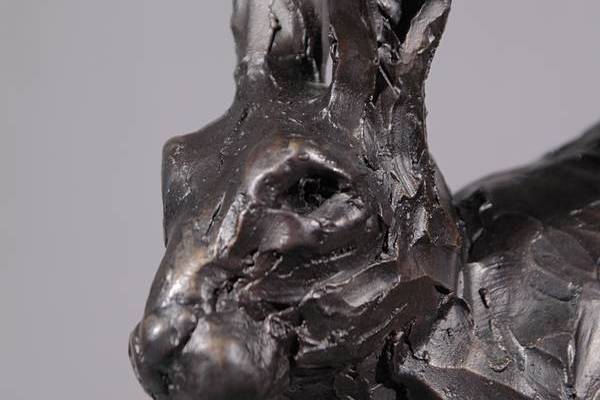 Hare