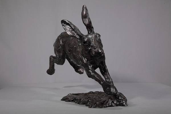Hare