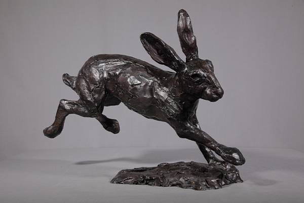 Hare