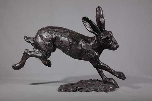 Hare