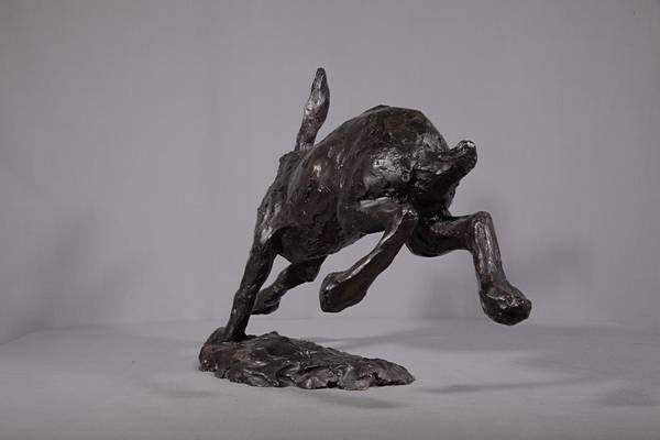 Hare