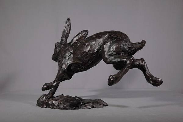 Hare
