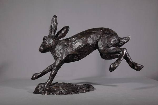 Hare