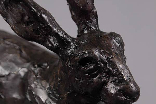 Hare