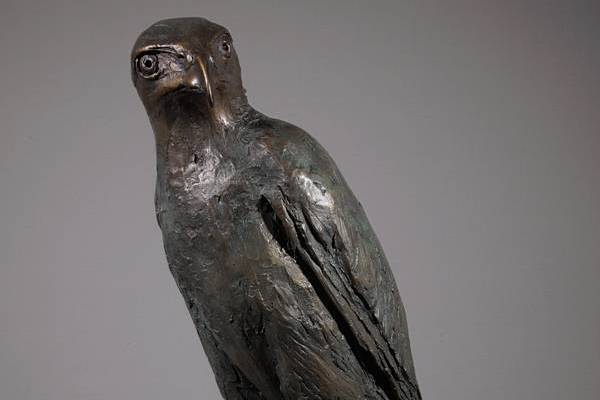 Harris Hawk Sculpture