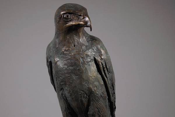 Harris Hawk Sculpture