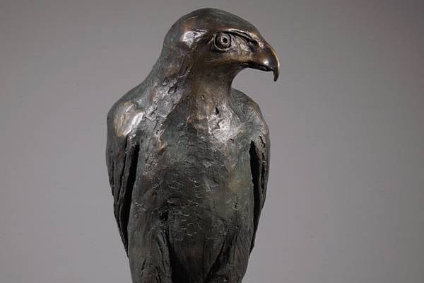 Harris Hawk Sculpture