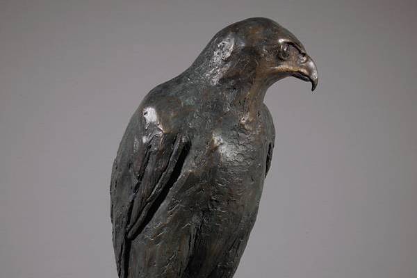 Harris Hawk Sculpture