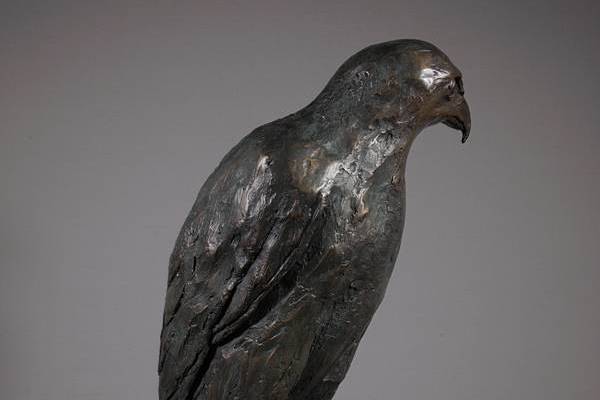 Harris Hawk Sculpture