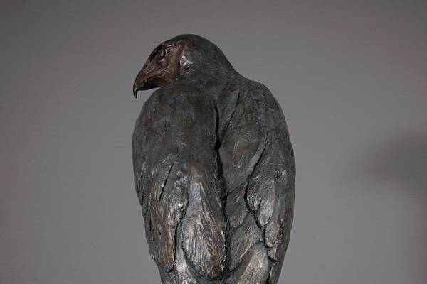Harris Hawk Sculpture
