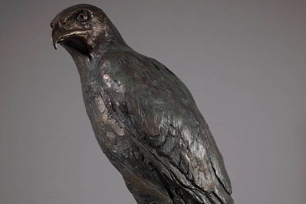 Harris Hawk Sculpture