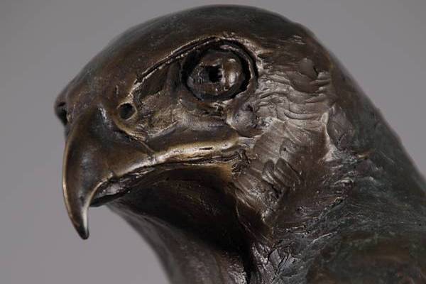 Harris Hawk Sculpture