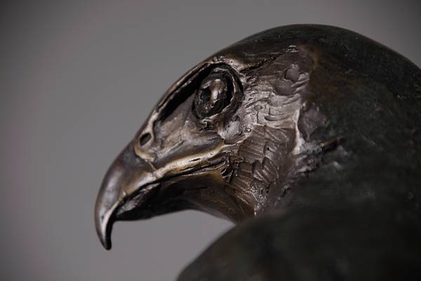 Harris Hawk Sculpture