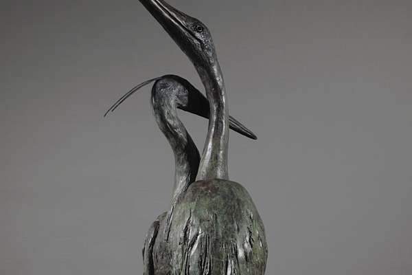 Heron