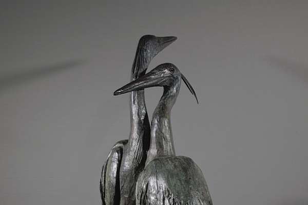 Heron