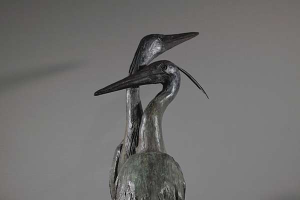 Heron