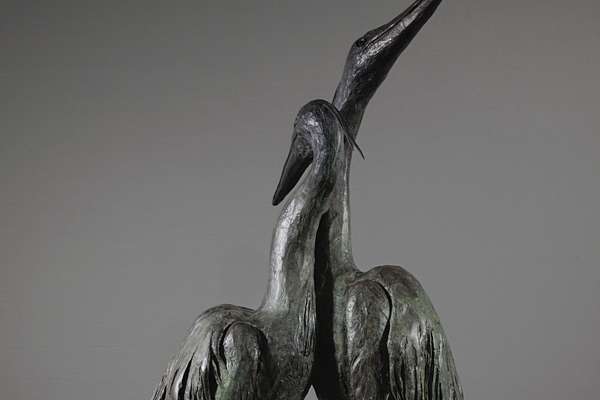 Heron