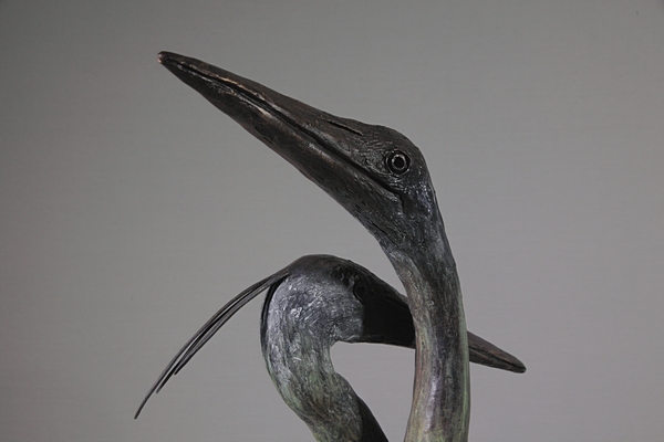 Heron