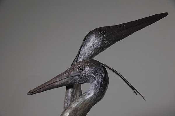 Heron