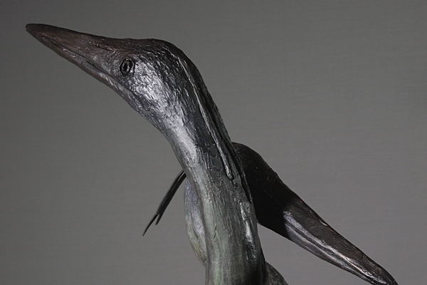 Heron