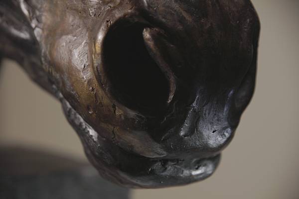 Horse Head Sculpture