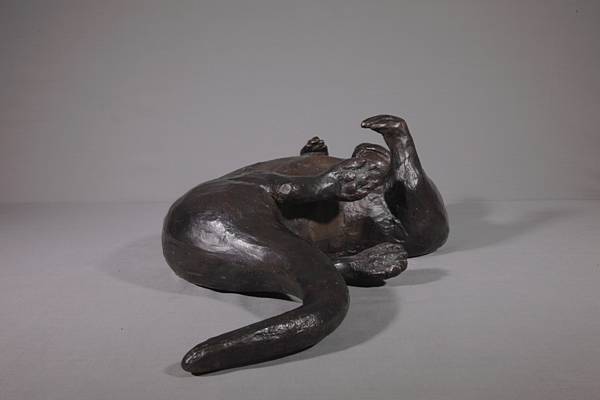 Otter Lying on it's back
